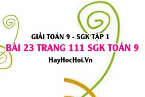 Giải bài 23 trang 111 SGK Toán 9 tập 1